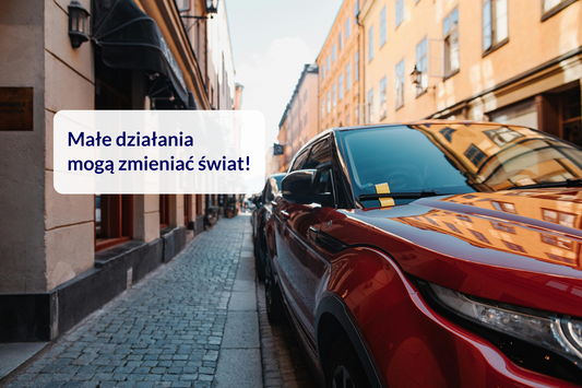 Naklejka Samochodowa Beeperlink
